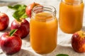 Cold Refreshing Apple Cider Juice Royalty Free Stock Photo