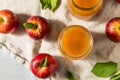 Cold Refreshing Apple Cider Juice Royalty Free Stock Photo