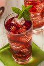 Cold Refreshing Berry Hibiscus Ice Tea Royalty Free Stock Photo