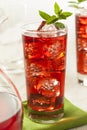 Cold Refreshing Berry Hibiscus Ice Tea Royalty Free Stock Photo