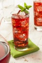 Cold Refreshing Berry Hibiscus Ice Tea Royalty Free Stock Photo