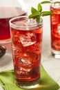 Cold Refreshing Berry Hibiscus Ice Tea Royalty Free Stock Photo