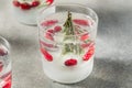 Cold Refreshing Christmas Snowglobe Cocktail