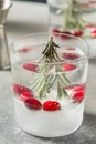 Cold Refreshing Christmas Snowglobe Cocktail