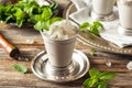 Cold Refreshing Classic Mint Julep