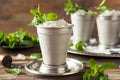 Cold Refreshing Classic Mint Julep