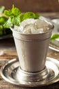 Cold Refreshing Classic Mint Julep