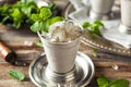 Cold Refreshing Classic Mint Julep