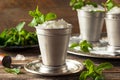 Cold Refreshing Classic Mint Julep