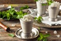 Cold Refreshing Classic Mint Julep