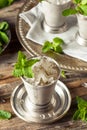 Cold Refreshing Classic Mint Julep