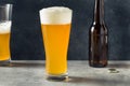 Cold Refreshing Craft Beer IPA Royalty Free Stock Photo