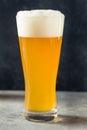 Cold Refreshing Craft Beer IPA Royalty Free Stock Photo