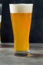Cold Refreshing Craft Beer IPA Royalty Free Stock Photo