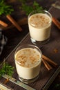 Cold Refreshing Eggnog Drink Royalty Free Stock Photo