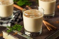 Cold Refreshing Eggnog Drink Royalty Free Stock Photo