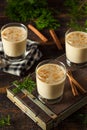 Cold Refreshing Eggnog Drink Royalty Free Stock Photo