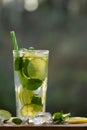 Cold refreshing homemade lemonade with mint, lemon and lime in a glass, copyspace, vertical image Royalty Free Stock Photo