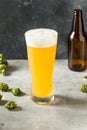 Cold Refreshing IPA Craft Beer Royalty Free Stock Photo
