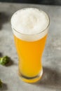 Cold Refreshing IPA Craft Beer Royalty Free Stock Photo