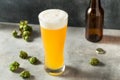 Cold Refreshing IPA Craft Beer Royalty Free Stock Photo