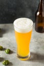 Cold Refreshing IPA Craft Beer Royalty Free Stock Photo