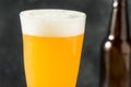 Cold Refreshing IPA Craft Beer Royalty Free Stock Photo