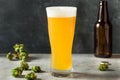 Cold Refreshing IPA Craft Beer Royalty Free Stock Photo