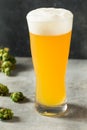 Cold Refreshing IPA Craft Beer Royalty Free Stock Photo