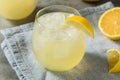 Cold Refreshing Lemon Sparkling Italian Soda