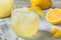 Cold Refreshing Lemon Sparkling Italian Soda