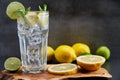 Cold refreshing limonade, mojito or gin tonic in glass, with fresh mint and ice cubes, lime and lemon on wooden board and black Royalty Free Stock Photo