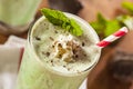 Cold Refreshing Mint Chocolate Chip MilkShake Royalty Free Stock Photo