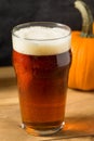 Cold Refreshing Pumpkin Ale Beer Royalty Free Stock Photo