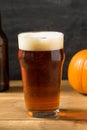 Cold Refreshing Pumpkin Ale Beer Royalty Free Stock Photo