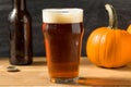 Cold Refreshing Pumpkin Ale Beer Royalty Free Stock Photo