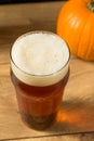 Cold Refreshing Pumpkin Ale Beer Royalty Free Stock Photo