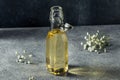 Cold Refreshing Sweet Elderflower Simple Syrup Royalty Free Stock Photo