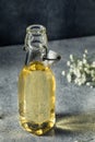 Cold Refreshing Sweet Elderflower Simple Syrup Royalty Free Stock Photo