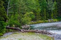 A Cold Resfershing Stream in the Woods