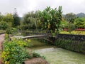 Cold River Ribeira Amarela in Alameda Tropical Garden in furnas town on the island of Sao Miguel in the Azores