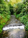 Cold river ribeira amarela in furnas town on the island of Sao Miguel in the Azores