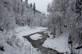 Cold river between trees near Partnach Gorge in winter time. Garmisch-Partenkirchen. Germany. Royalty Free Stock Photo