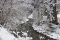 Cold river between trees in winter time. Garmisch-Partenkirchen. Germany. Royalty Free Stock Photo