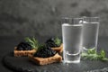 Cold Russian vodka and sandwiches with black caviar on table Royalty Free Stock Photo