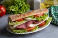 Cold sandwich with cheddar cheese and ham Royalty Free Stock Photo