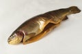 Cold smoked rainbow trout on a white background