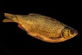 Cold smoked rudd fish isolated on black background