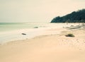 Cold smooth sea with trunk tree on empty shore Royalty Free Stock Photo