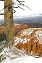 A cold snowy day in Bryce Canyon Royalty Free Stock Photo